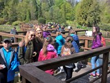 Bolestraszyce i Przemyśl 27 IV 2016 (13)